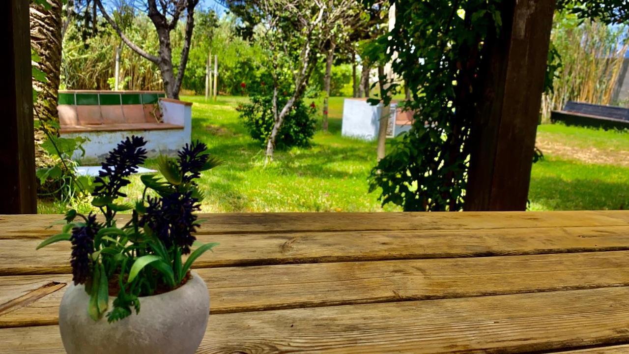 Banti Garden Hotel Tarifa Ngoại thất bức ảnh