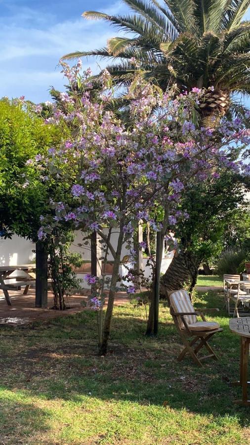 Banti Garden Hotel Tarifa Ngoại thất bức ảnh